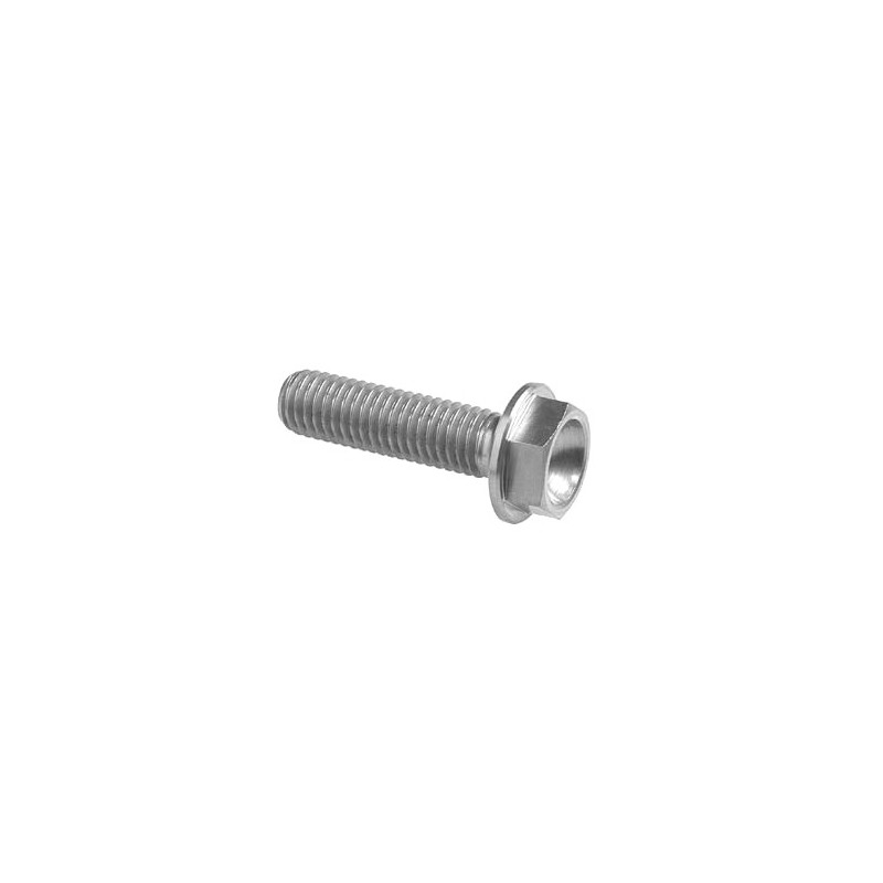 Hexagonal head Screw Erg. Cl 004 M6 L. 80 - 004M6080SIL / SILVER