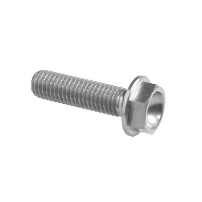 Hexagonal head Screw Erg. Cl 004 M6 L. 80 - 004M6080SIL / SILVER