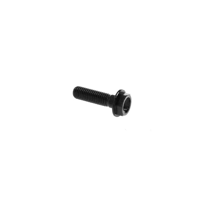 Hexagonal head Screw Erg. Cl 004 M6 L. 90 - 004M6090NER / BLACK SHINE