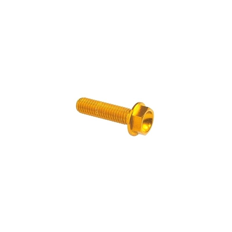 Hexagonal head Screw Erg. Cl 004 M8 L. 10 - 004M8010GOLDEN / GOLDEN