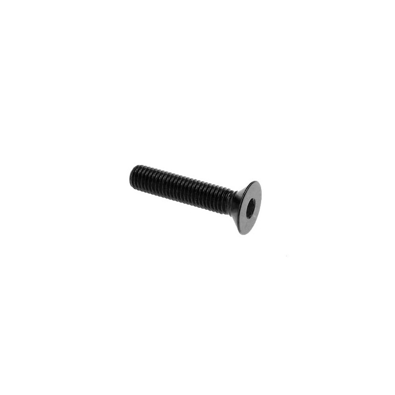 Flat head screw Erg. Cl 005 M4 L. 10 / BRIGHT BLACK