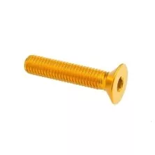 Tornillo cabeza plana Erg. Cl 005 M4 L. 10 - 005M4010ORO / ORO