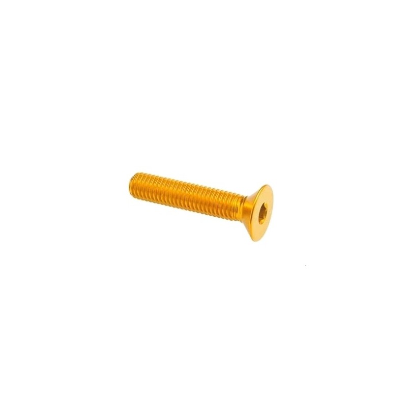 Tornillo cabeza plana Erg. Cl 005 M4 L. 10 - 005M4010ORO / ORO