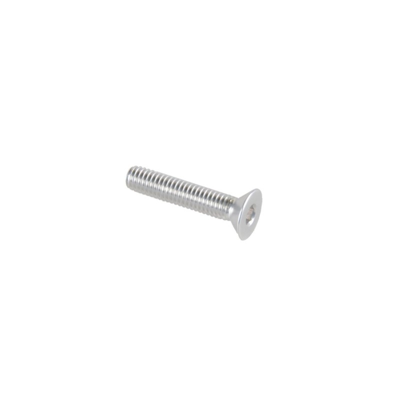 Flat-head Screw Erg. Cl 005 M4 L. 50 - 005M4050SIL / SILVER