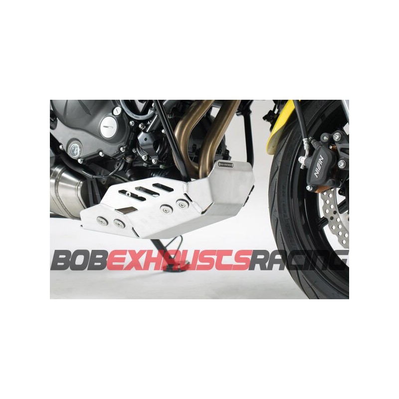 Engine guard. Silver. Kawasaki Versys 650 (15-20)