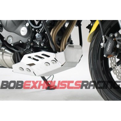 Engine guard. Silver. Kawasaki Versys 650 (15-20)