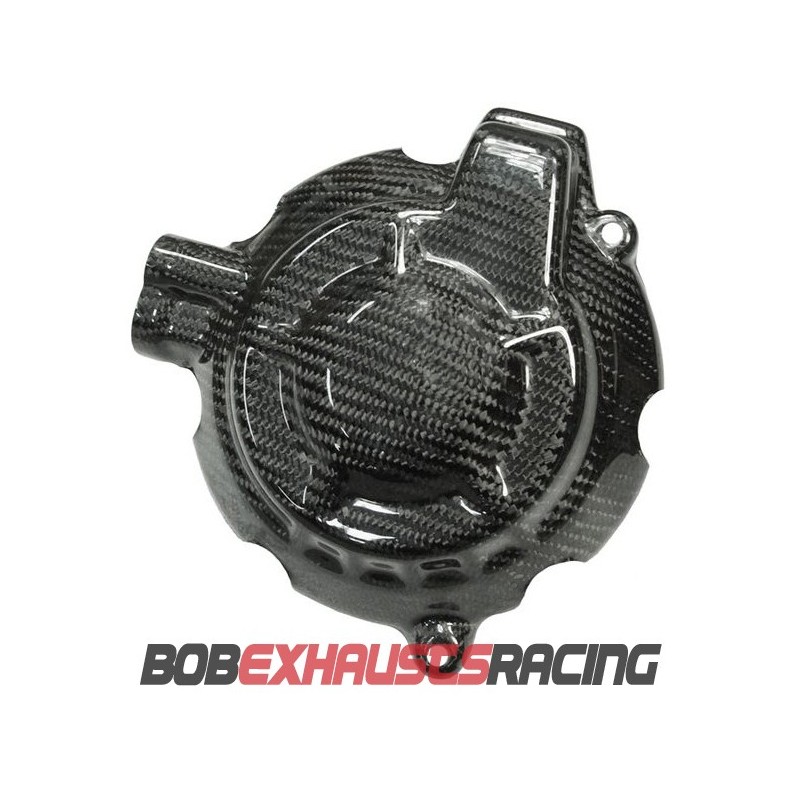 TAPA  ALTERNADOR CARBONO S1000RR 2019-