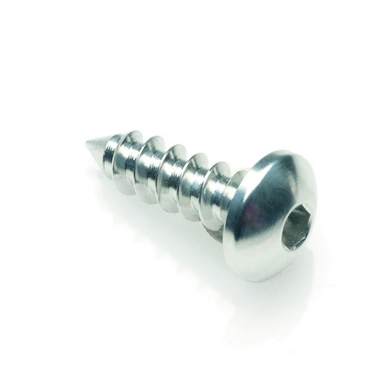 Tornillo Rosca Chapa 002 Ø 4,5x13 Ergal - PAC24513SIL / PLATA