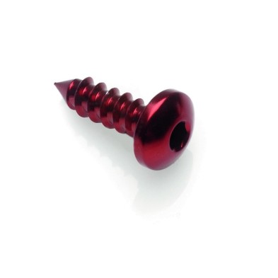 Tornillo Rosca Chapa 002 Ø 4,5x16 Ergal - PAC24516ROS / ROJO