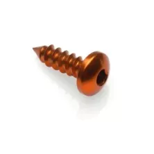 Tornillo Rosca Chapa 002 Ø 5,5x16 Ergal - PAC25516ORO / ORO