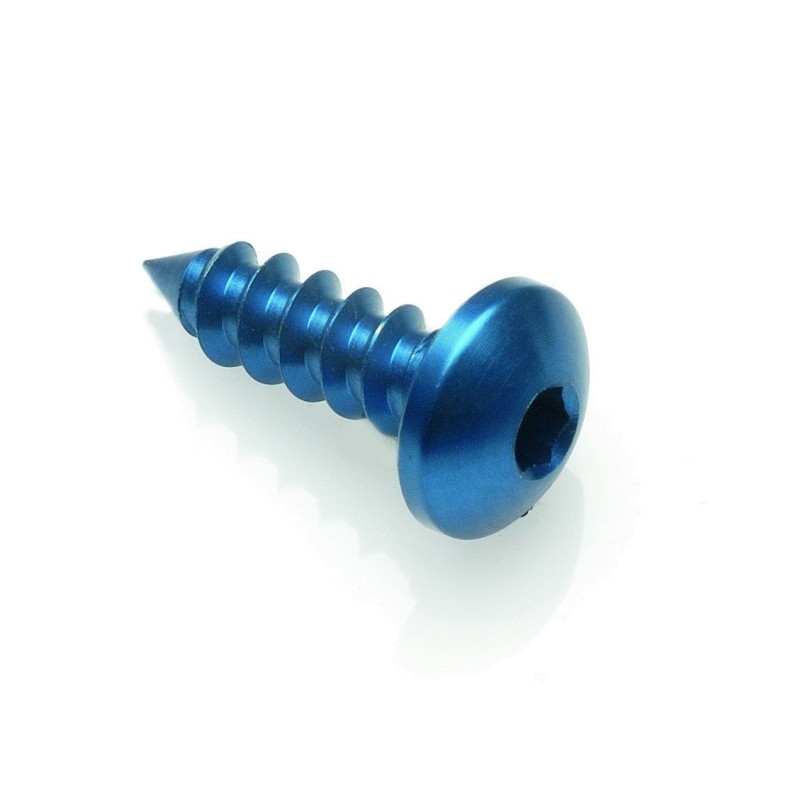 Sheet metal Screw 002 D=5,5x19 Ergal - PAC25519COB / COBALT