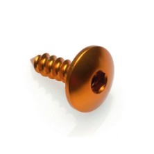 Tornillo Rosca Chapa 003 Ø 4,5x13 Ergal - PAC34513ORO / ORO