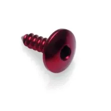 Tornillo Rosca Chapa 003 Ø 5,5x16 Ergal - PAC35516ROS / ROJO