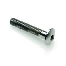 Tornillo Abombado Titanio G5 Cl 002 M4 L. 10 cabeza Ø10  Titanio 6al4v Gr.5 - T002M4010