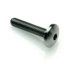 Tornillo Abombado Titanio G.5 Cl 003 M6 L. 25 cabeza Ø17  Titanio 6al4v Gr.5 - T003M6025