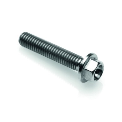 Hexagonal Screws Titanium G.5 Cl 004 M4 L. 30 - T004M4030