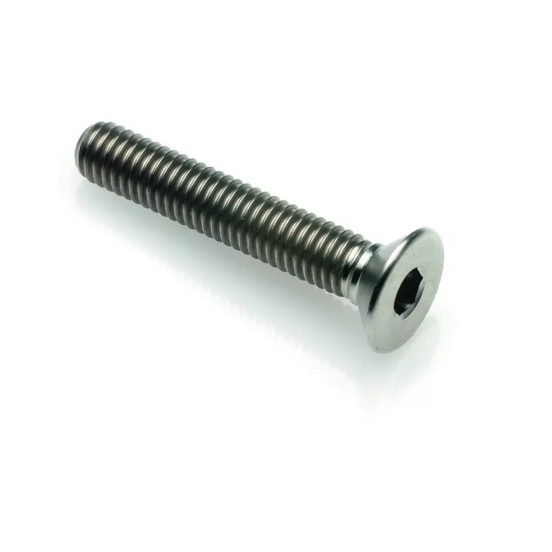 Tornillo cabeza plana Tit. G.5 Cl 005 M5 L. 55 - T005M5055