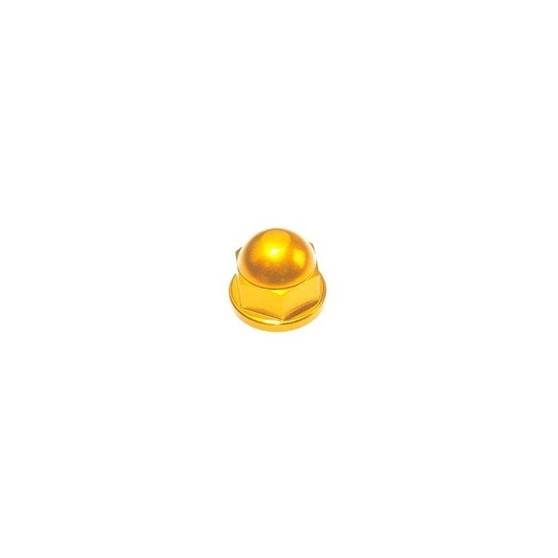 Blind nut M6 Ergal - 0016M06GOLDEN / GOLDEN