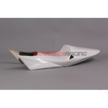 TAILPIECE HONDA CBR 600RR 05-06