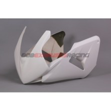 FRONTAL HONDA CBR 600RR 05-06