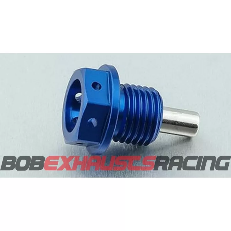 BOLT TORNILLO VACIADO MAGNETICO PRECINTABLE HONDA