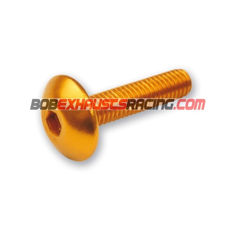 ANODIZED CONVEX ALLEN SCREWS