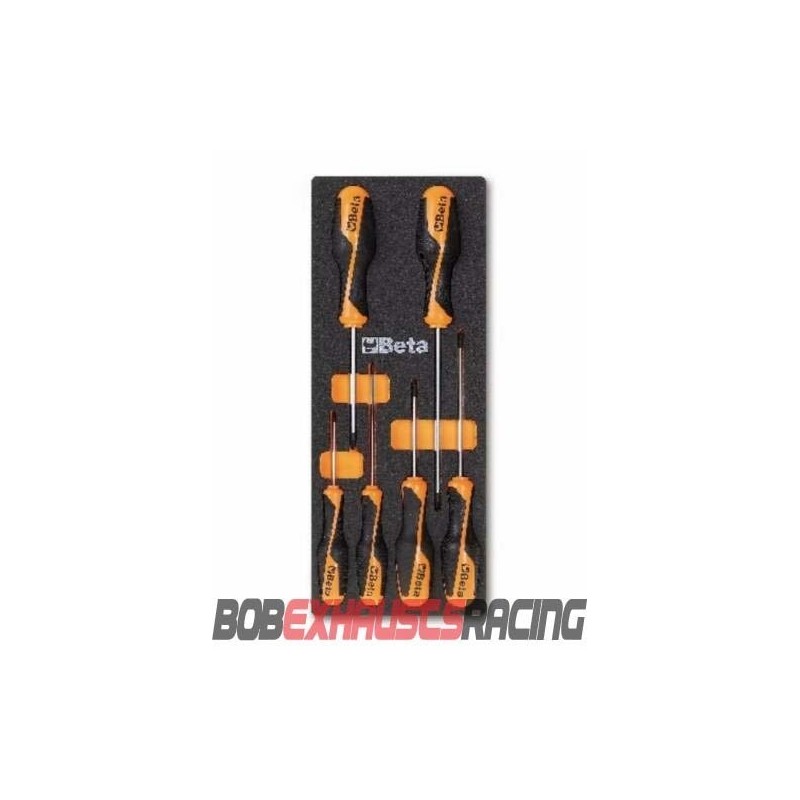 BETA ASSORTMENT PHILLIPS® CROSS SCREWDRIVERS IN THERMOFORMED TRAY M202