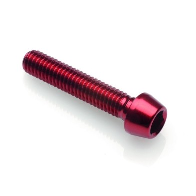 Hexagonal Screw Erg. Cl 001 M10 X 1,5 L. 25 - 001M10025ROS / RED