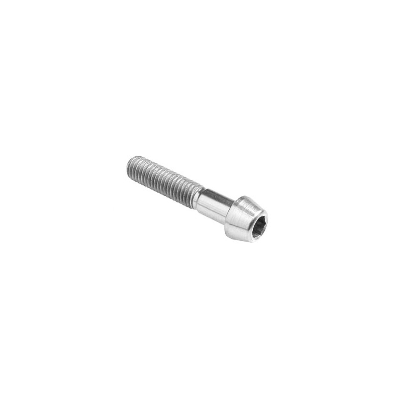 Tornillo Hexagonal Erg. Cl 001 M10 X 1,5 L. 30 - 001M10030SIL / PLATA