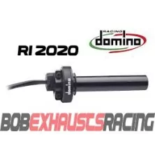 DOMINO ACELERADOR ELECTRONICO R1 20-22