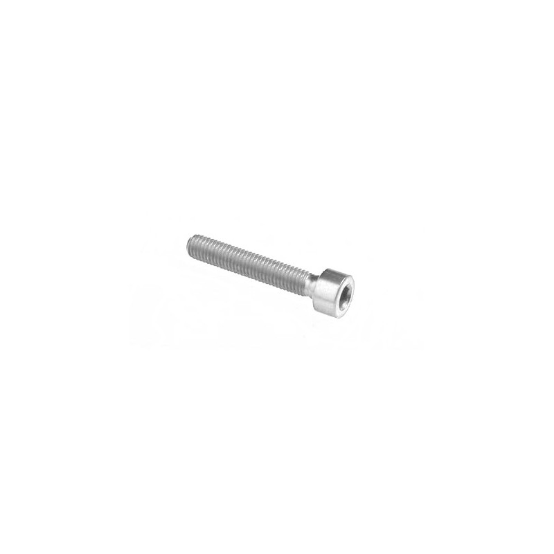 Tornillo Hexagonal Erg. Cl 001 M5 L. 15 - 001M5015SIL / PLATA