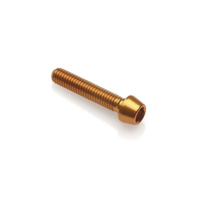 Tornillo Hexagonal Erg. Cl 001 M6 L. 25 - 001M6025ORO / ORO