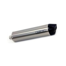 Maxi Race-Tech titanium silencer with carby end cap