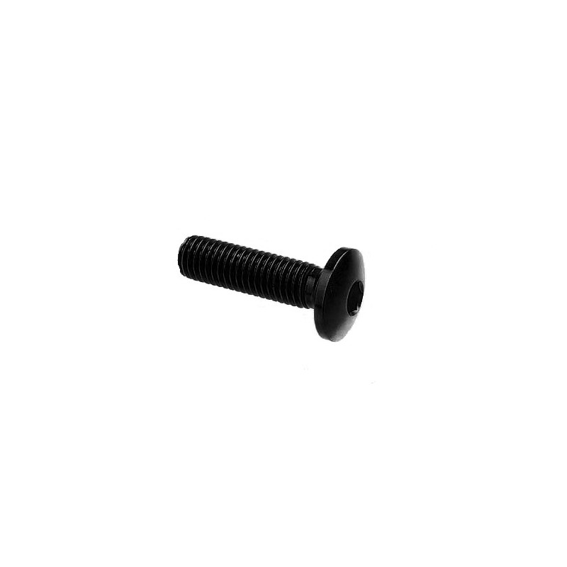 Dome-head Screw Erg. Cl 002 M4 L. 30 head Ø10  Ergal (7075 T6) - 002M4030NER / BLACK SHINE