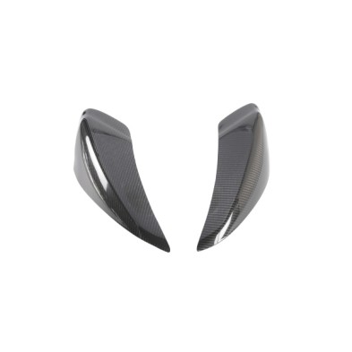 copy of Swingarm carbon protection (set) - CARK9561