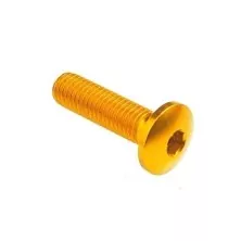 Tornillo cabeza abombada Erg. Cl 002 M5 L. 15 cabeza Ø12  Ergal (7075 T6) - 002M5015ORO / ORO