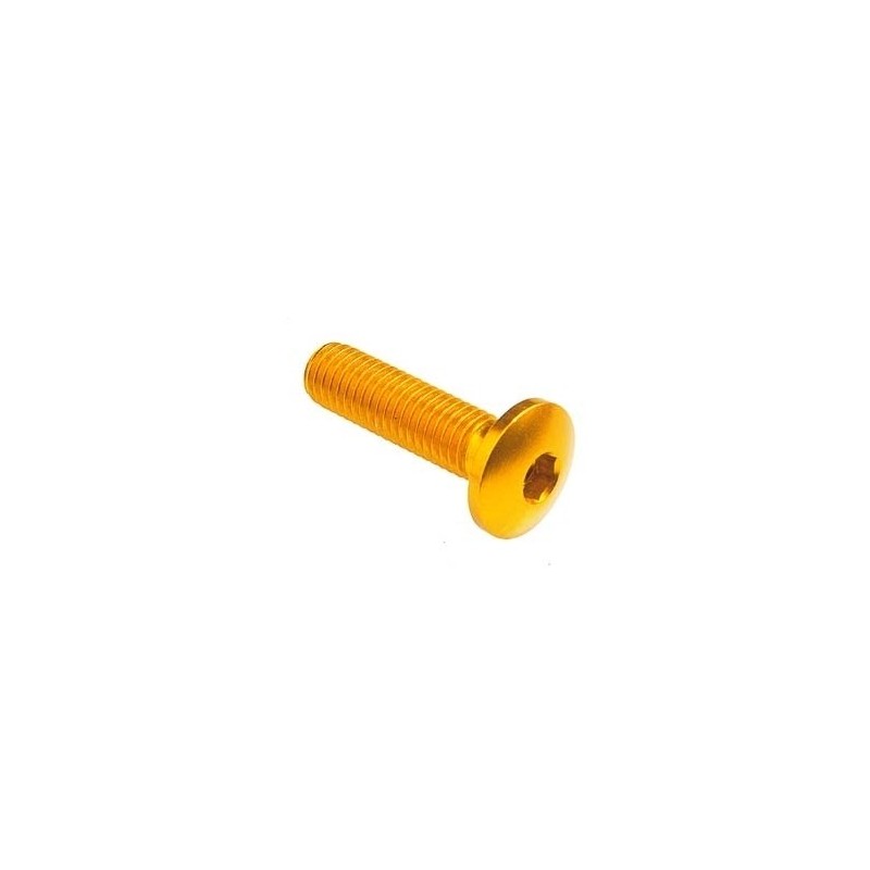 Dome-head Screw Erg. Cl 002 M5 L. 25 head Ø12  Ergal (7075 T6) - 002M5025GOLDEN / GOLDEN