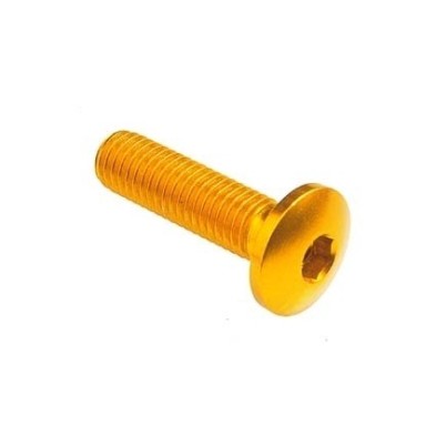 Dome-head Screw Erg. Cl 002 M5 L. 25 head Ø12  Ergal (7075 T6) - 002M5025GOLDEN / GOLDEN