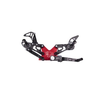 SPIDER ESTRIBERAS HONDA CBR 1000RR 17-19 ABATIBLE