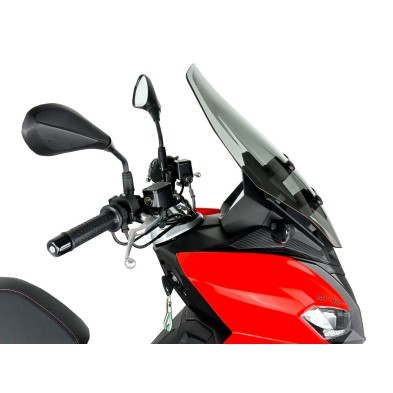 WRS CUPULA TOURING SR GT 125/200 22-24 AHUMADA