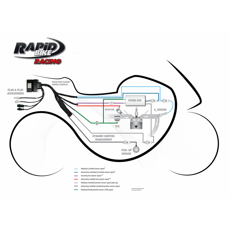 RAPID BIKE RACING APRILIA KRBRAC152