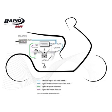 RAPID BIKE EASY RBE022