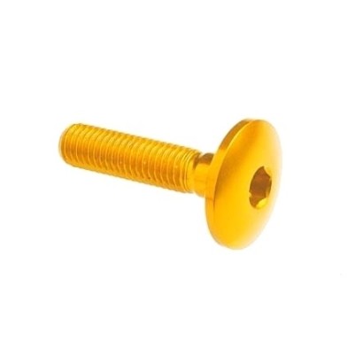 Dome-head Screw Erg. Cl 003 M5 L. 10 head Ø14  Ergal (7075 T6) - 003M5010GOLDEN / GOLDEN