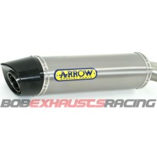 ARROW Maxi Race-Tech copa carbono /  BMW R 1200 GS - GS Adventure 06/09