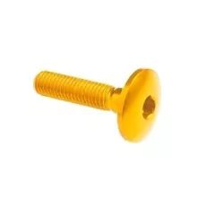 Tornillo cabeza abombada Erg. Cl 003 M5 L. 25 cabeza Ø14  Ergal (7075 T6) - 003M5025ORO / ORO