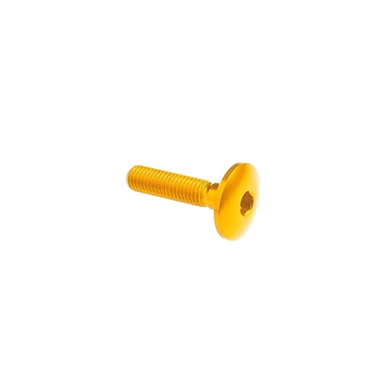 Dome-head Screw Erg. Cl 003 M6 L. 45 head Ø17  Ergal (7075 T6) - 003M6045GOLDEN / GOLDEN