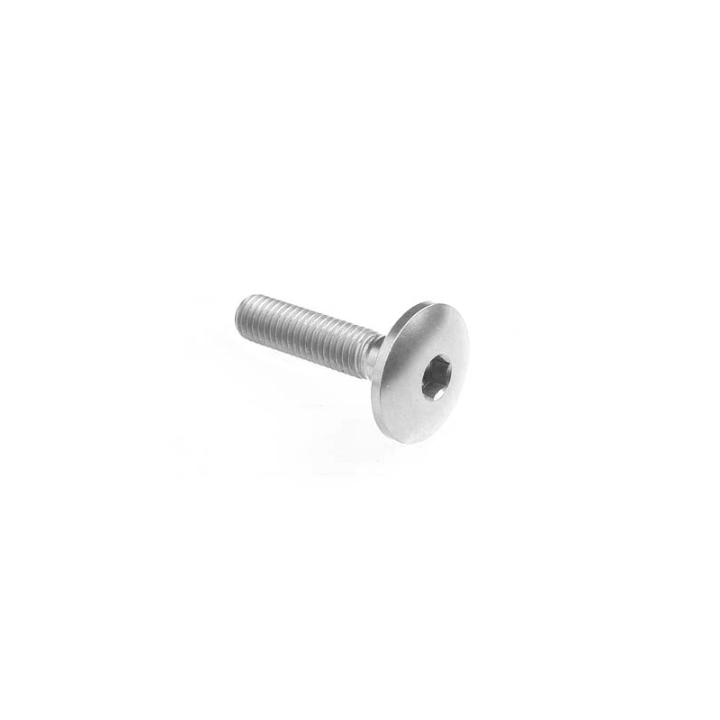 Dome-head Screw Erg. Cl 003 M8 L. 20 head Ø22  Ergal (7075 T6) - 003M8020SIL / SILVER