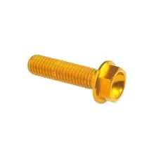 Tornillo cabeza hexagonal Erg. Cl 004 M10 X 1,25 L. 25 - 004M10025ORO / ORO